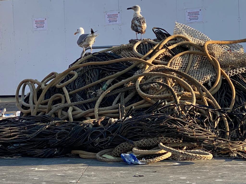 Zwei Möwen stehen auf einem Haufen aus verwickelten Seilen und Netzen, die auf einem Hafengelände liegen. Die Szene zeigt ein typisches Hafenbild und vermittelt einen Eindruck von maritimem Leben.