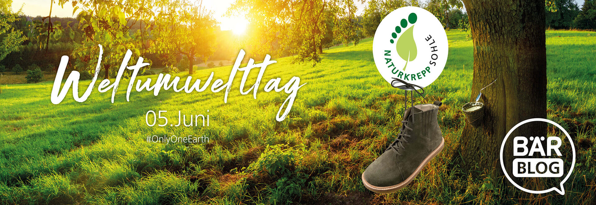 Landschaft im Sonnenuntergang mit umweltfreundlichem Schuh und Naturkrepp-Sohle zum Weltumwelttag am 5. Juni