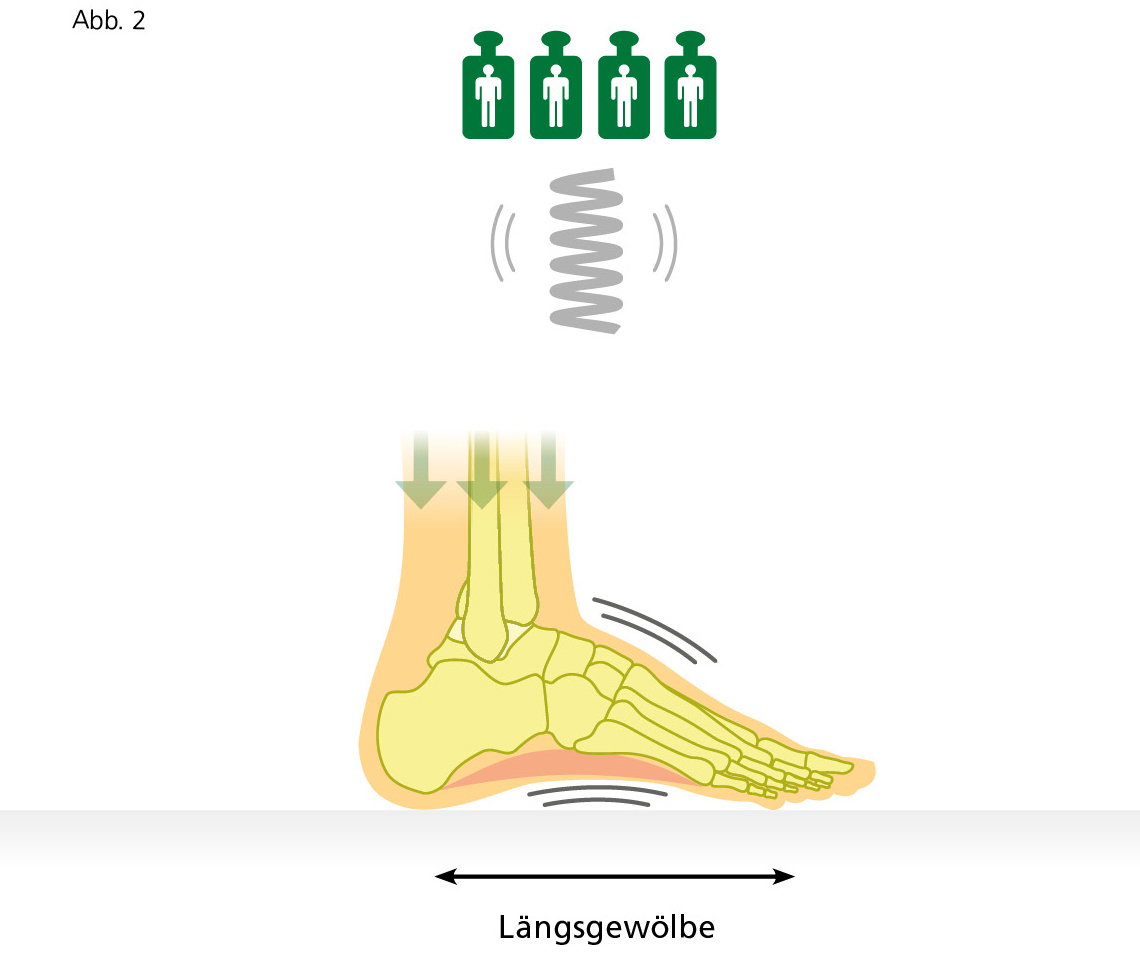 Diagramm zeigt die Belastungsverteilung auf das Fußlängsgewölbe mit vier stilisierten Personen als Gewicht und Pfeilen, die auf ein Fußskelett zeigen.
