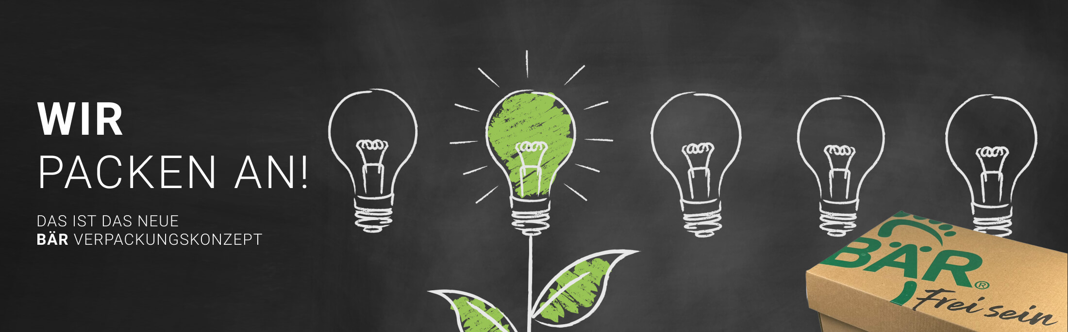 Kreatives Bild mit grüner Glühbirne und BÄR Verpackung, das Nachhaltigkeit symbolisiert