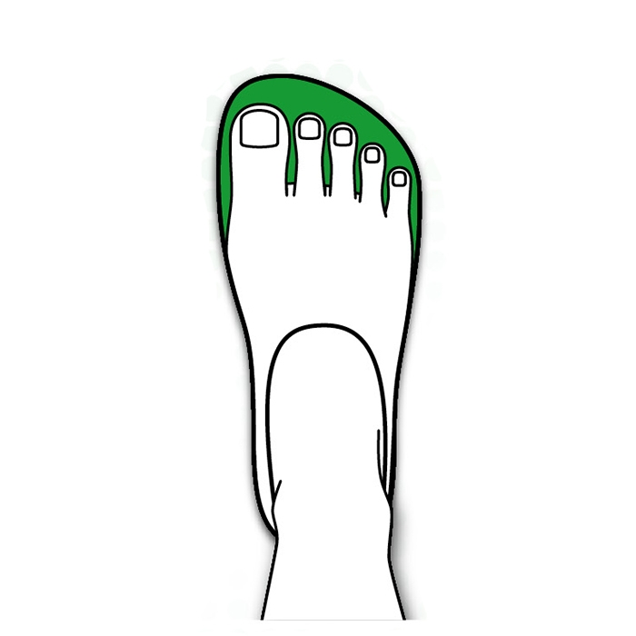 Zeichnung eines menschlichen Fußes mit Zehen, die grün hervorgehoben sind