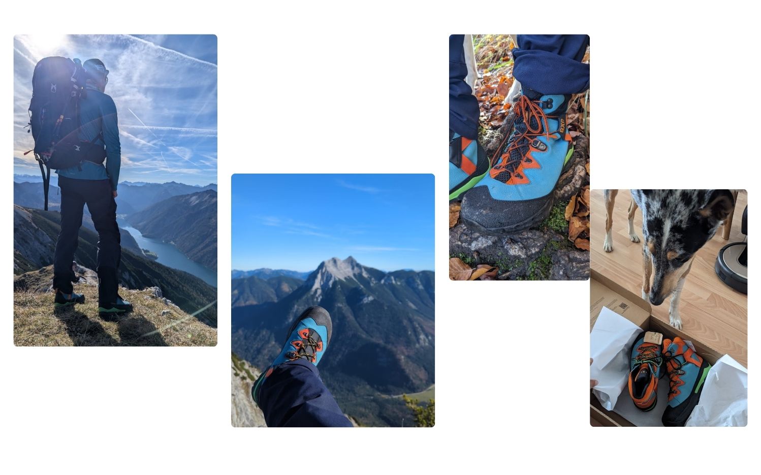 Eine Collage zeigt eine Person mit Rucksack in den Bergen, Nahaufnahmen von Wanderschuhen und einen Hund, der neben Schuhkartons steht.