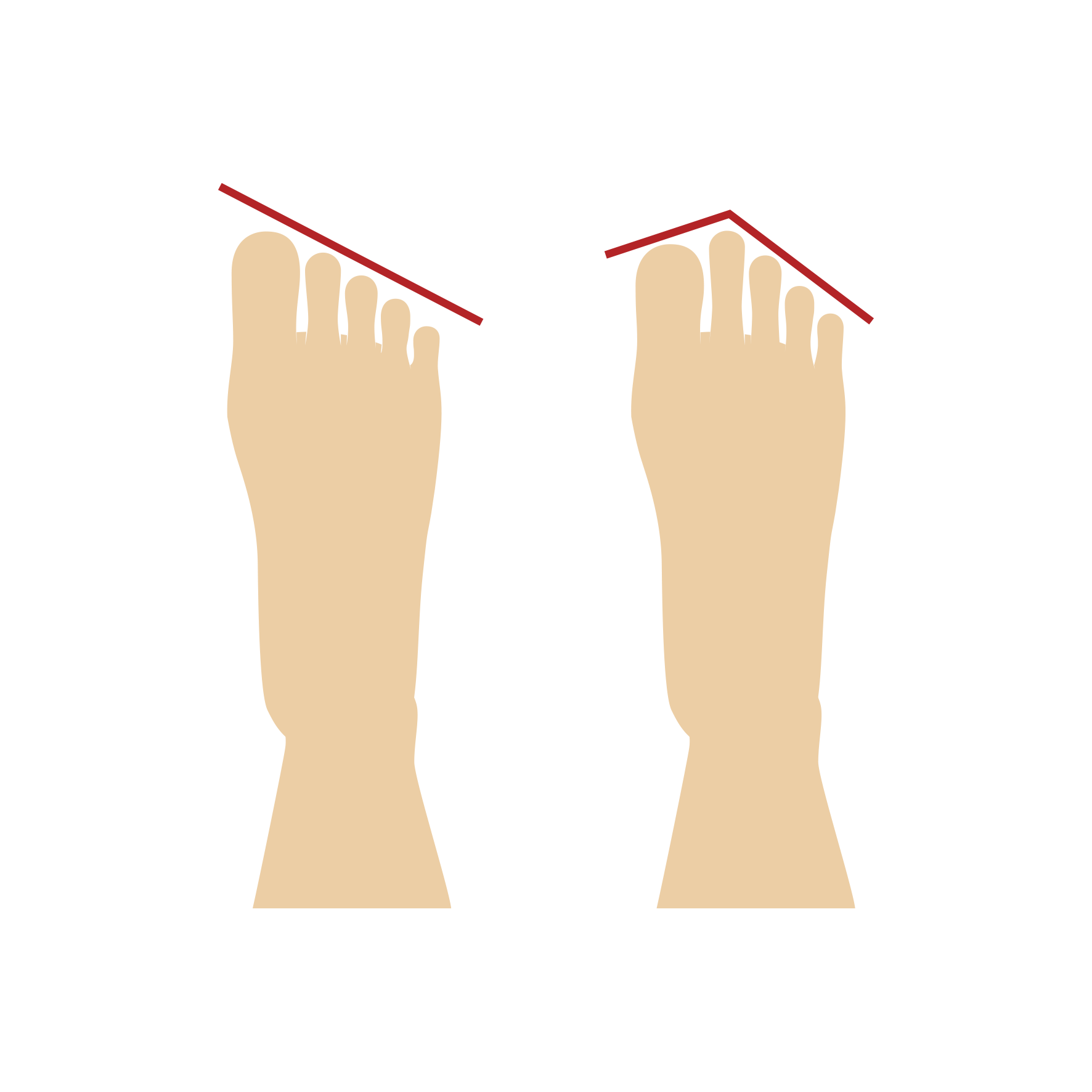 Illustration von zwei Fußtypen, links ägyptische Fußform mit abfallender Zehenlinie, rechts griechische Fußform mit erhöhtem zweiten Zeh.