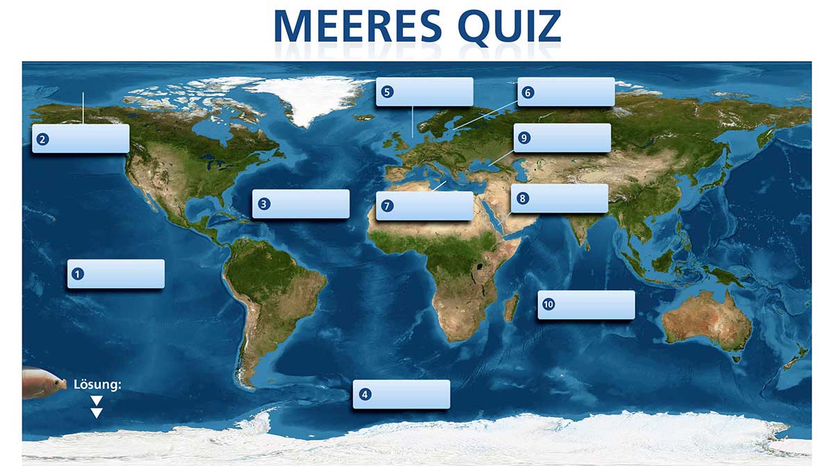 Weltkarte mit nummerierten Regionen für ein Meeres-Quiz, in der verschiedene Ozeane und Meeresregionen gekennzeichnet sind.