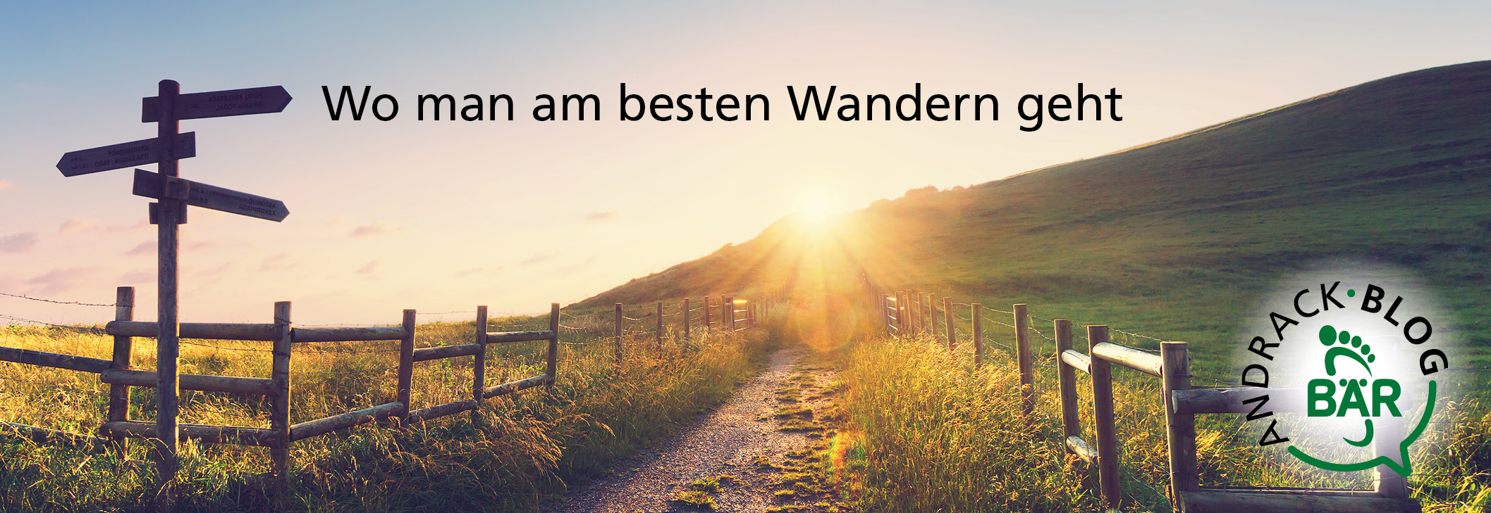 Idyllische Landschaft bei Sonnenaufgang mit Holzwegweiser und Wiese, passend zum Thema Wandern auf dem Andrack Blog