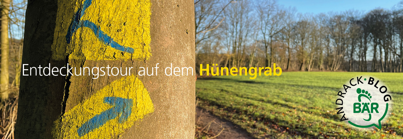 Gelb-blauer Wegweiser am Baum für eine Entdeckungstour auf dem Hünengrab, begleitet vom Andrack Blog Logo im sonnigen Wald.