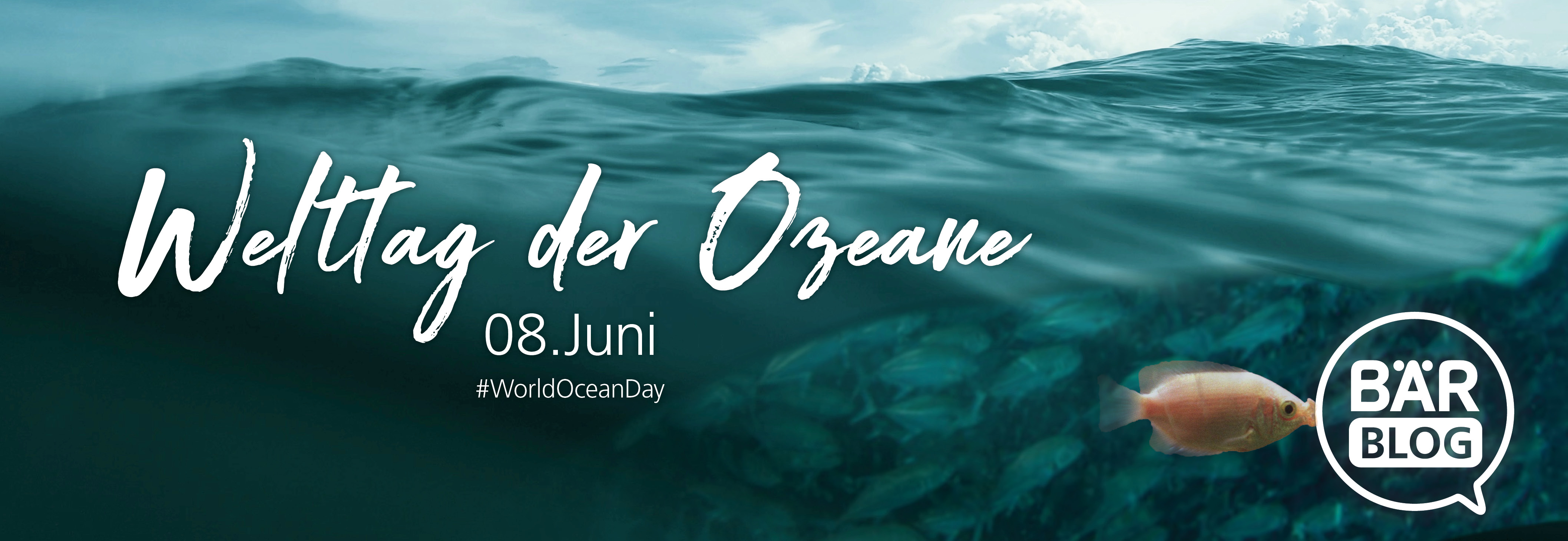 Unterwasseraufnahme zum Welttag der Ozeane mit Schriftzug und Bär Blog-Logo