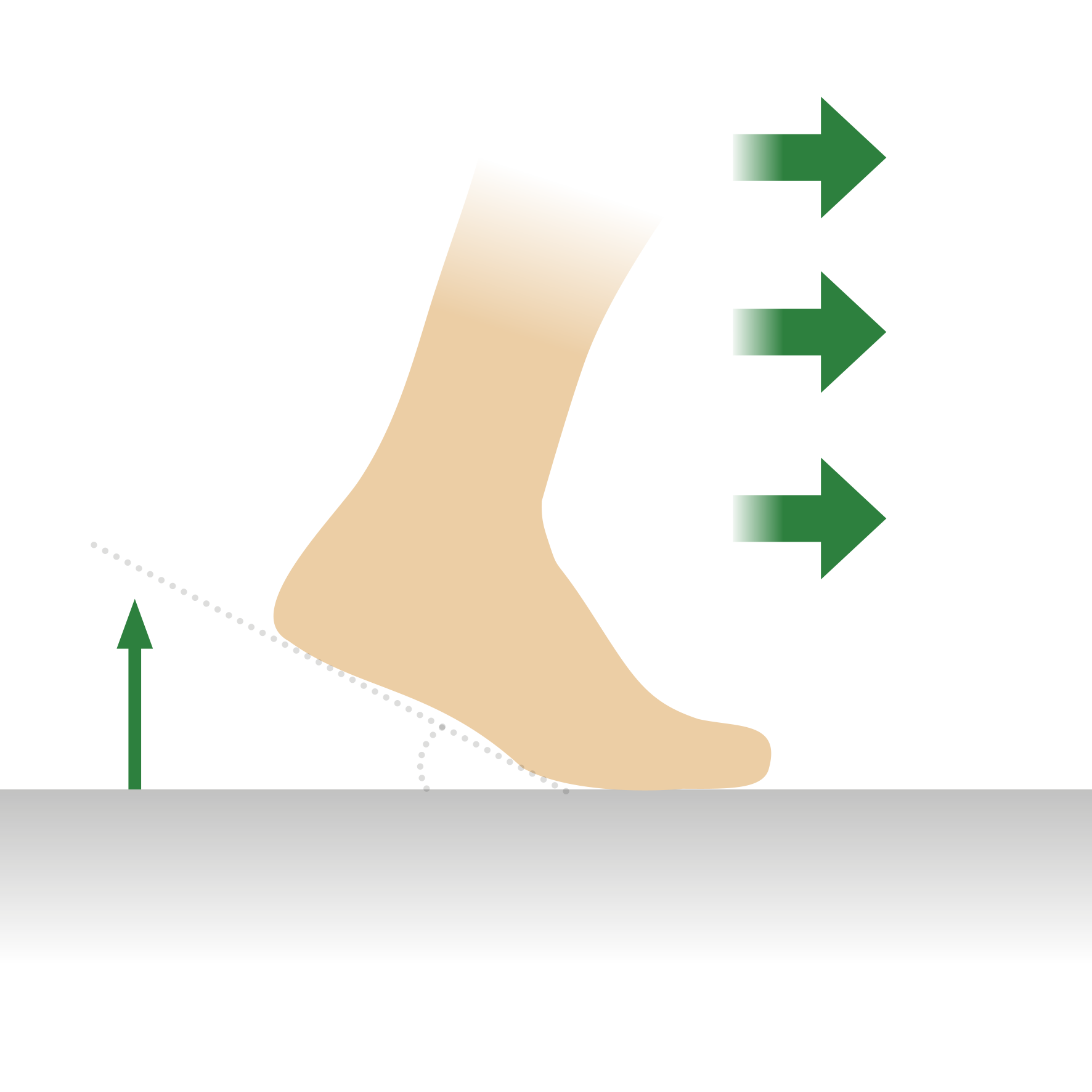 Grafik zeigt einen Fuß beim Abrollen auf dem Boden mit Pfeilen, die die Bewegungsrichtung andeuten