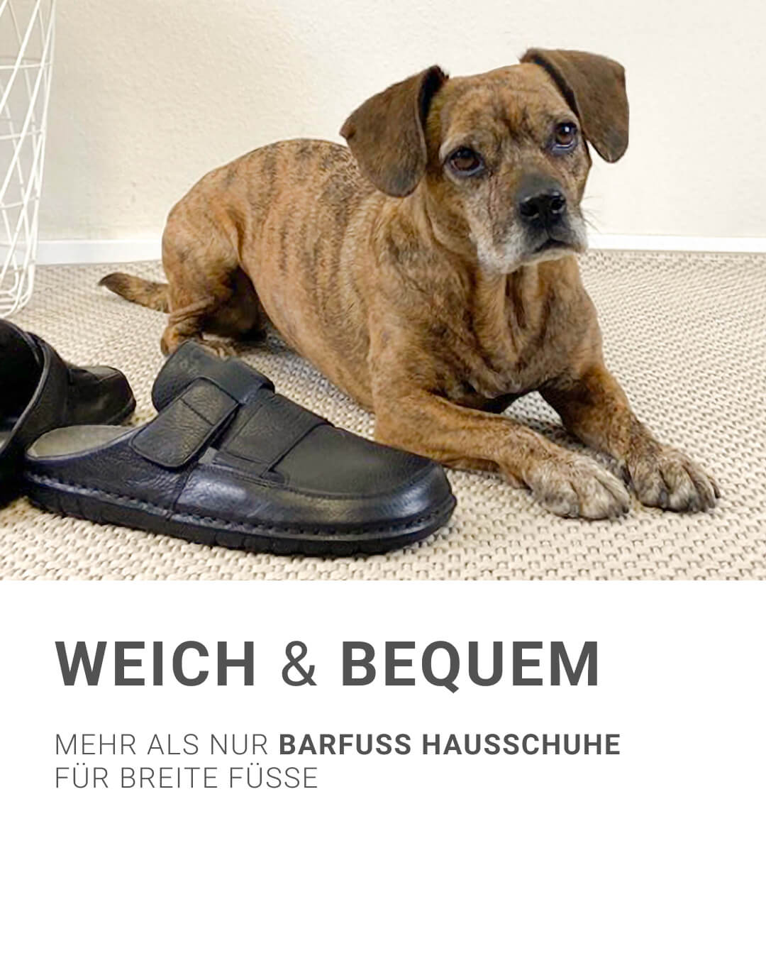 Hund neben weichen und bequemen Barfuß-Hausschuhen