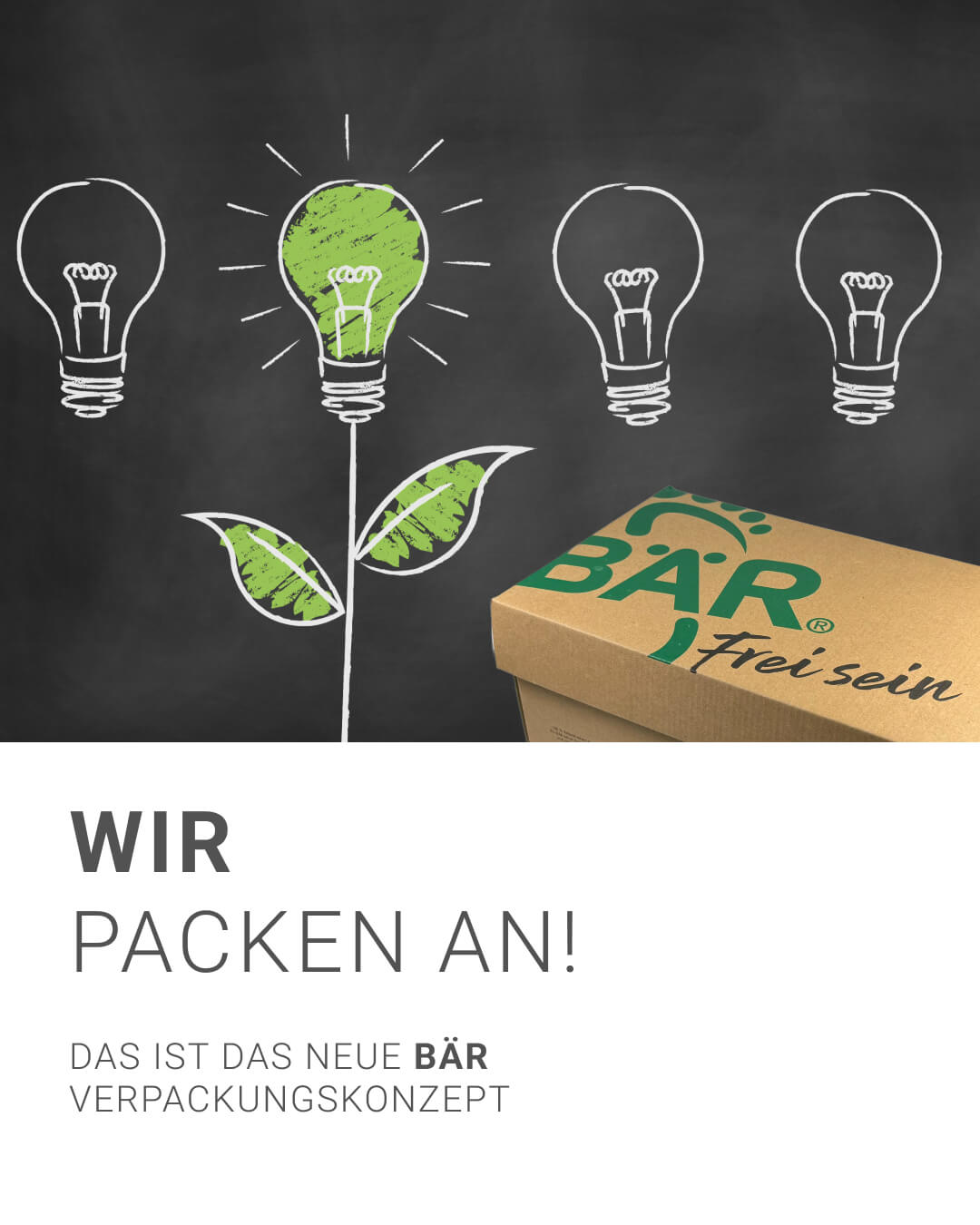 Karton mit BÄR-Logo vor Tafel mit grüner Glühbirnenskizze