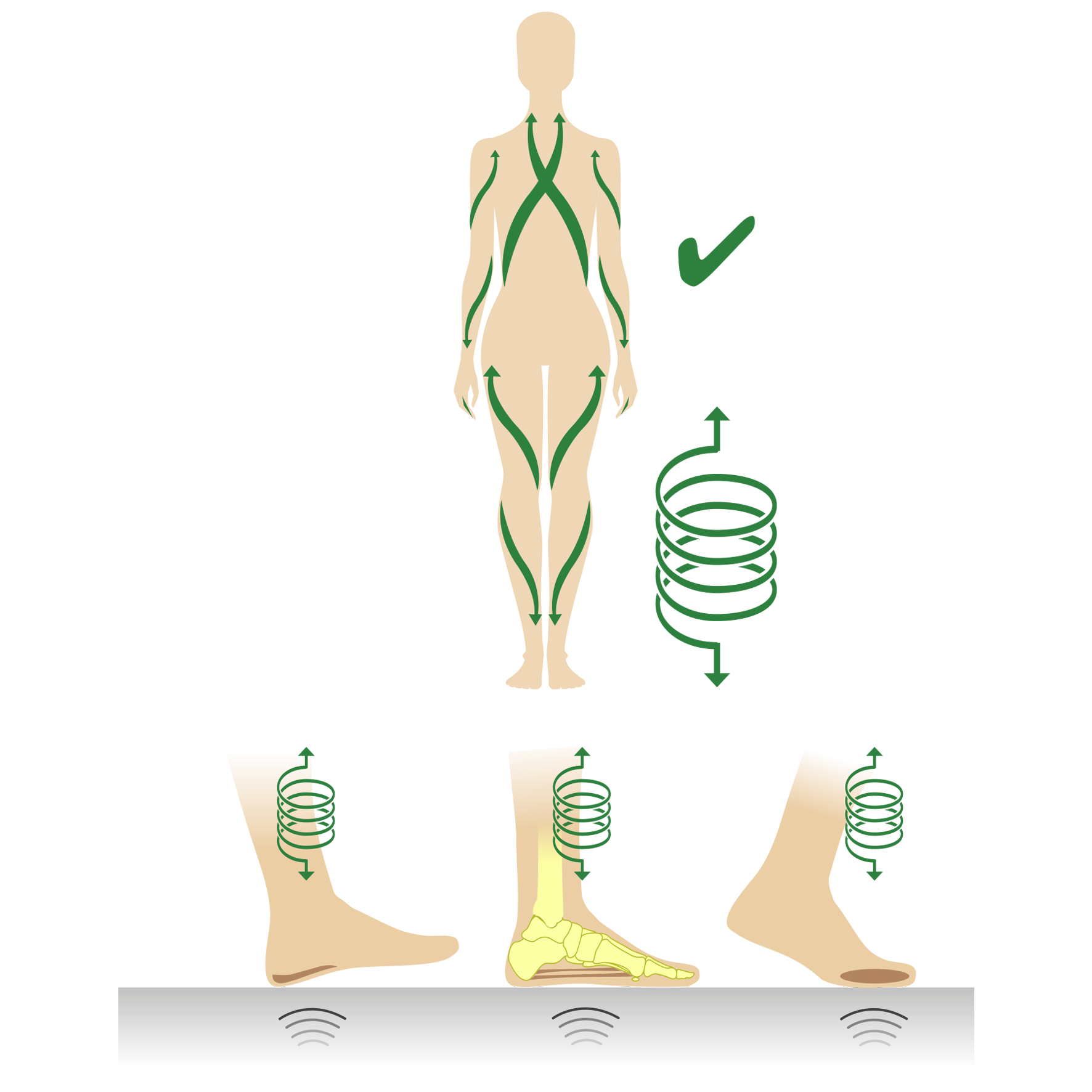 Grafik zeigt die Lymphdrainage im menschlichen Körper mit Pfeilen, die den Fluss in Armen und Beinen anzeigen, und spiralförmigen Linien an den Beinen zur Unterstützung der Zirkulation.